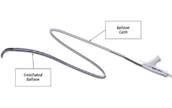 coronary angioplasty stent